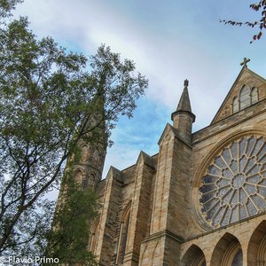 big size photo in the gallery