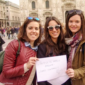 big size photo in the gallery