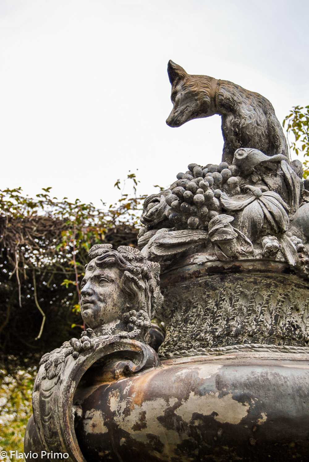 photo in the gallery