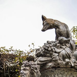 big size photo in the gallery