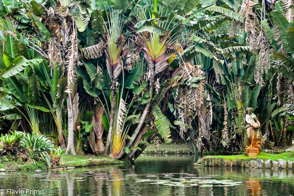 photo in the gallery