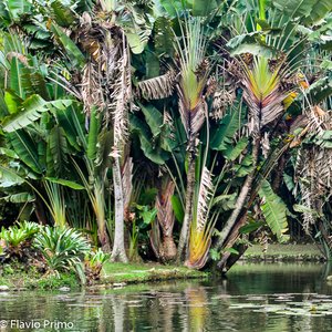 big size photo in the gallery