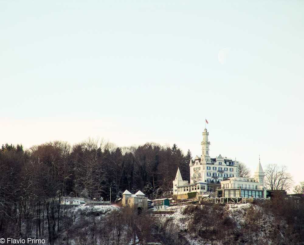 photo in the gallery