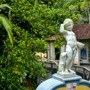 big size photo in the gallery