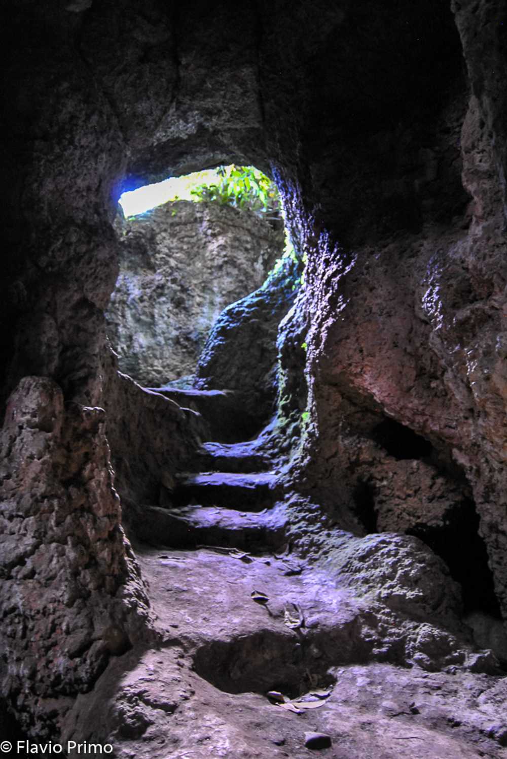 photo in the gallery