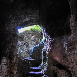 big size photo in the gallery