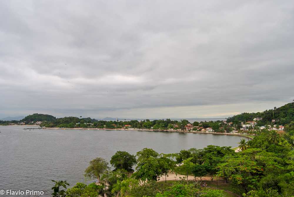 photo in the gallery