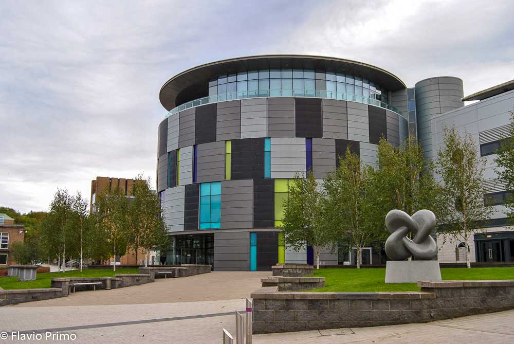 photo in the gallery