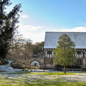 big size photo in the gallery