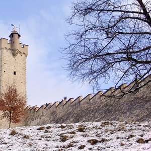 big size photo in the gallery