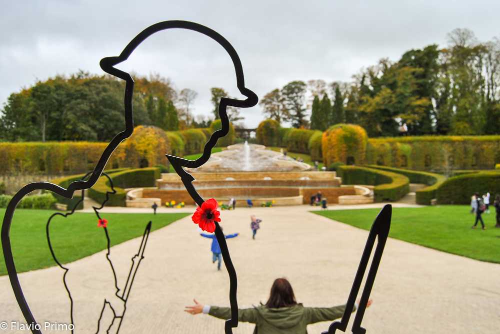 photo in the gallery