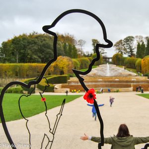 big size photo in the gallery