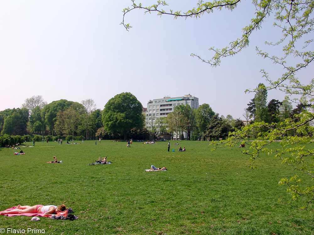 photo in the gallery