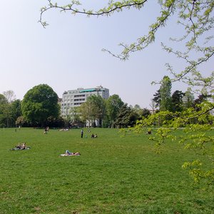 big size photo in the gallery