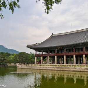 big size photo in the gallery