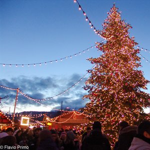 big size photo in the gallery