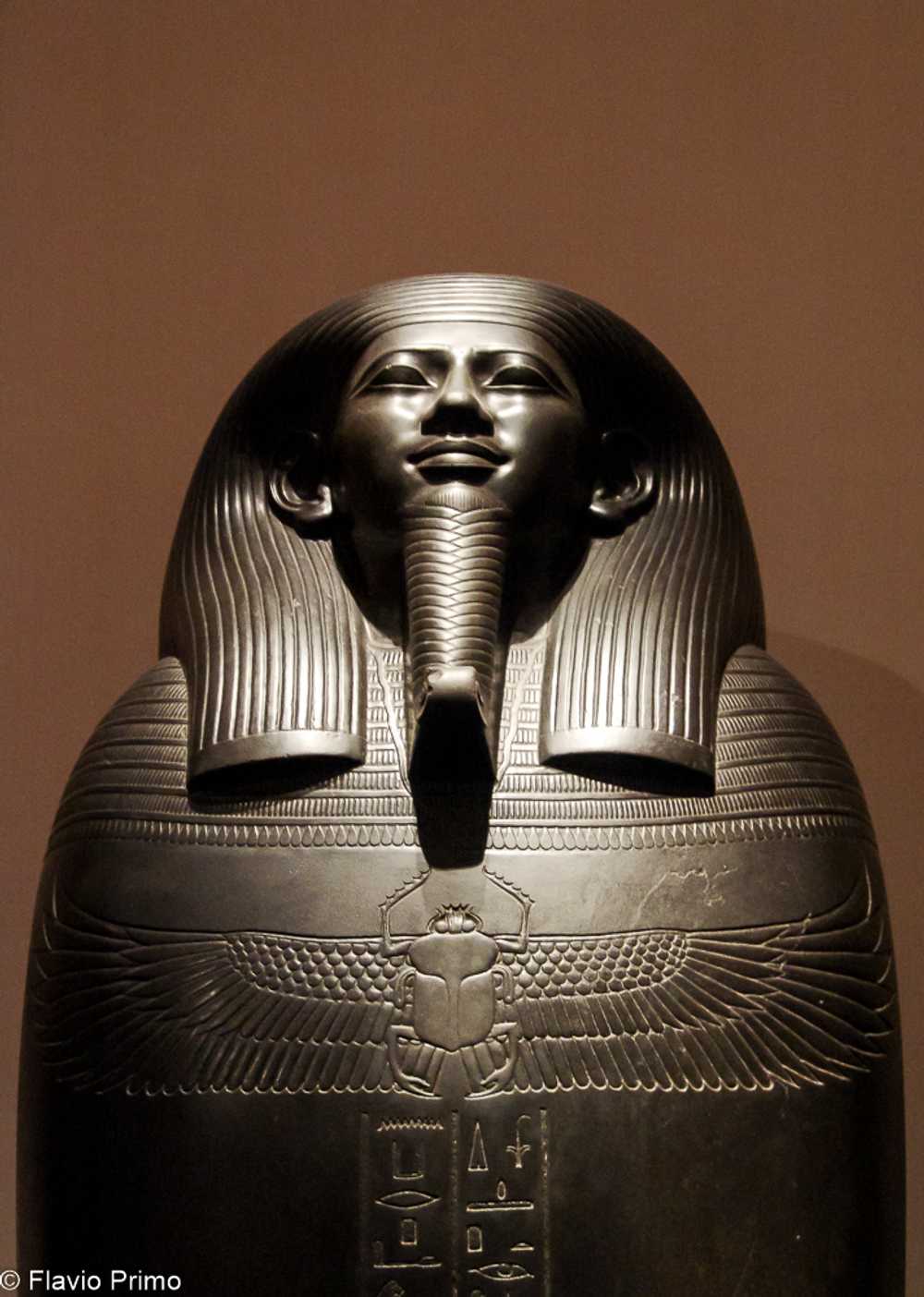 photo in the gallery