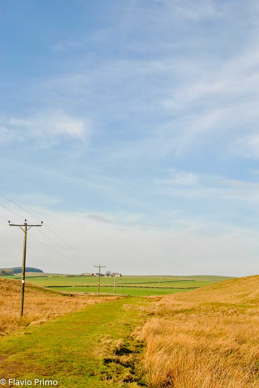 photo in the gallery