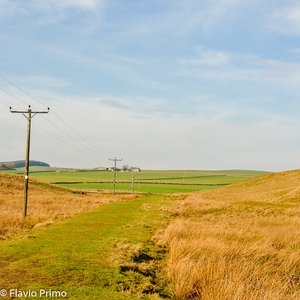 big size photo in the gallery