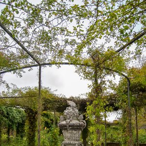 big size photo in the gallery