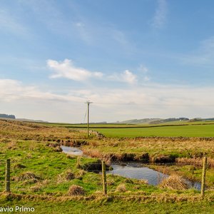 big size photo in the gallery