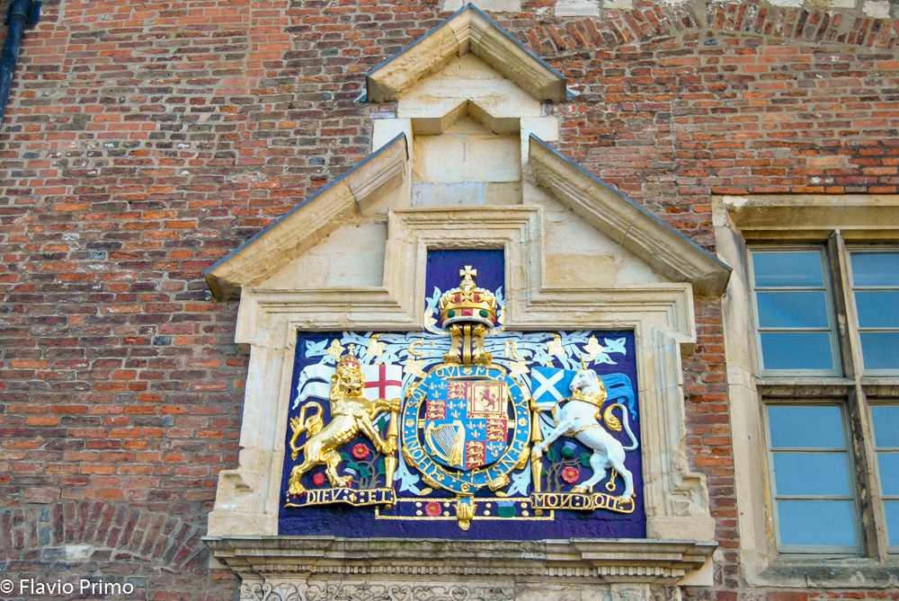 photo in the gallery