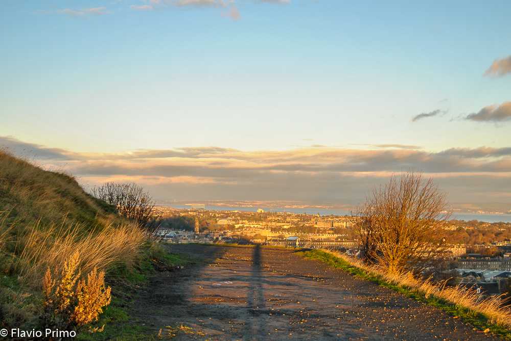 photo in the gallery