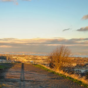 big size photo in the gallery