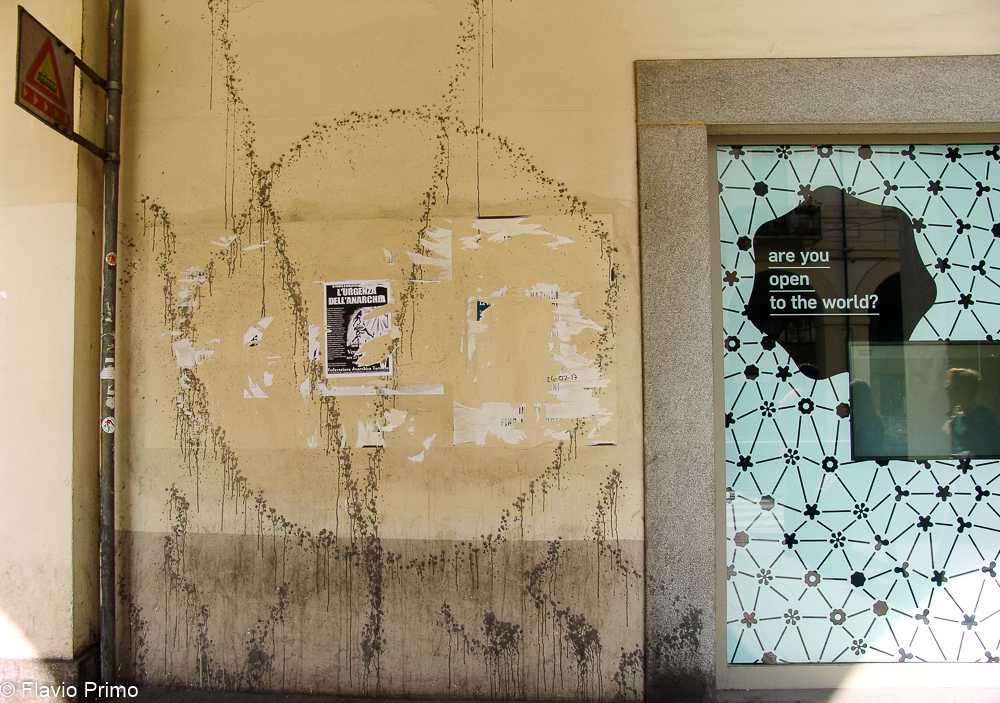 photo in the gallery