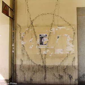 big size photo in the gallery