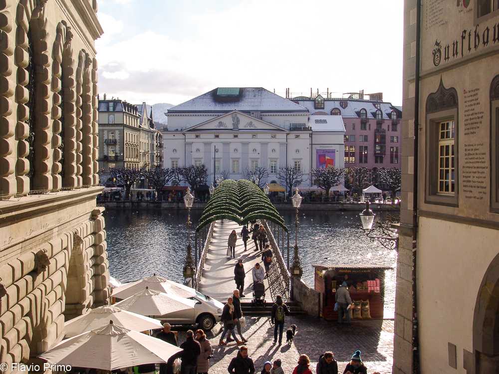 photo in the gallery