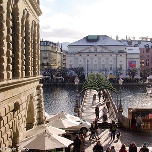 big size photo in the gallery