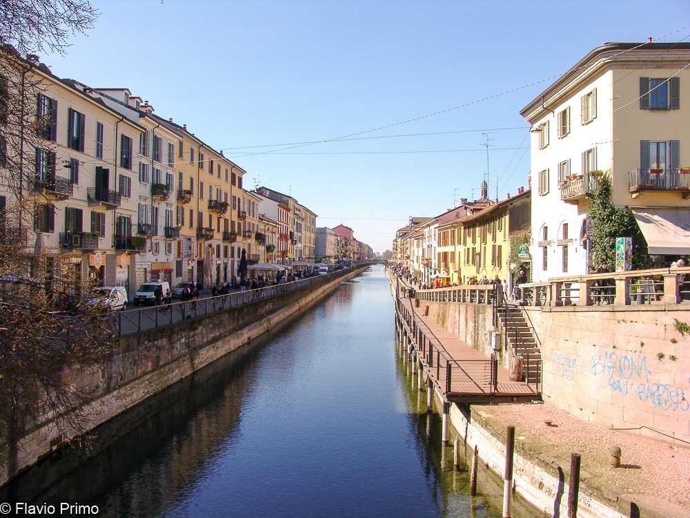 photo in the gallery