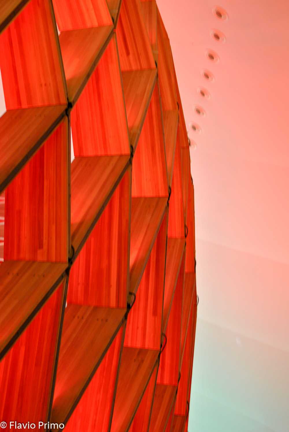 photo in the gallery