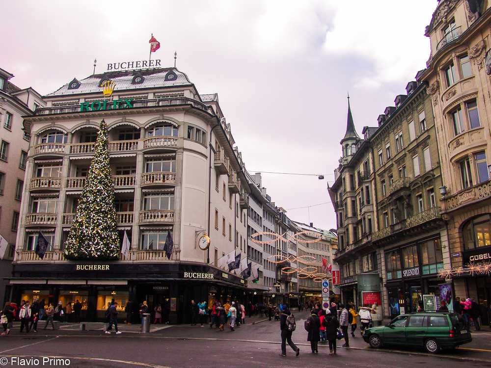 photo in the gallery