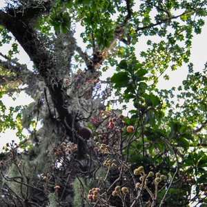 big size photo in the gallery