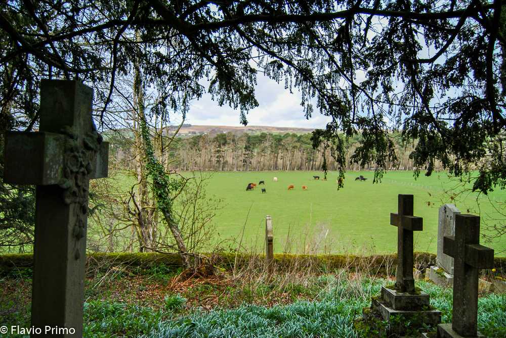 photo in the gallery