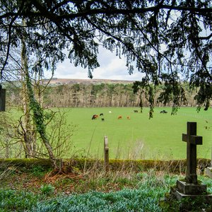 big size photo in the gallery