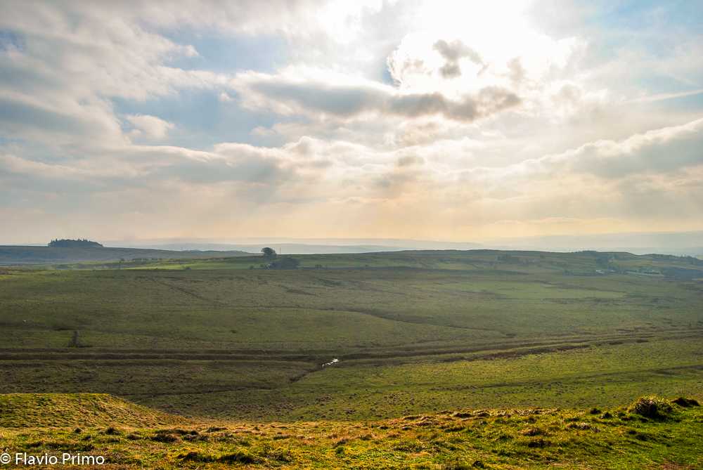 photo in the gallery