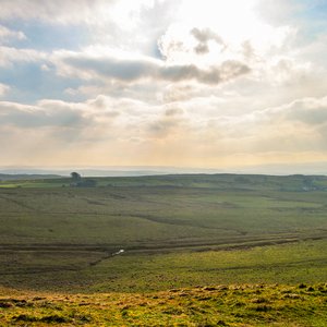 big size photo in the gallery