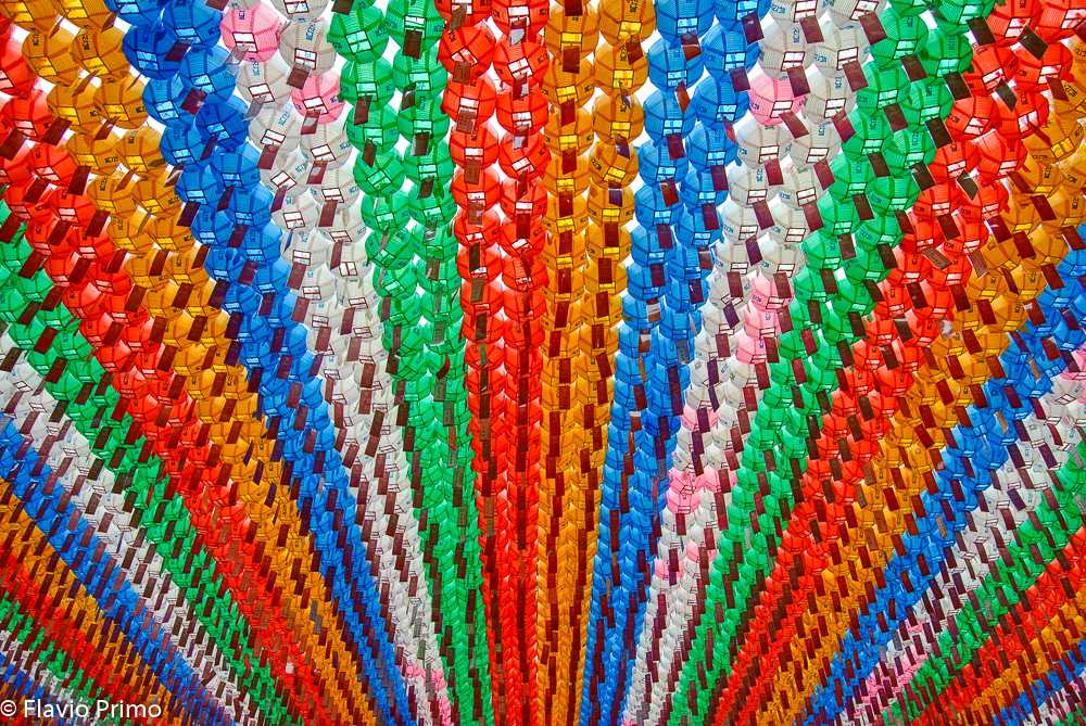 photo in the gallery