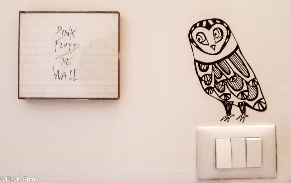 photo in the gallery