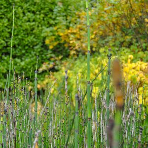 big size photo in the gallery