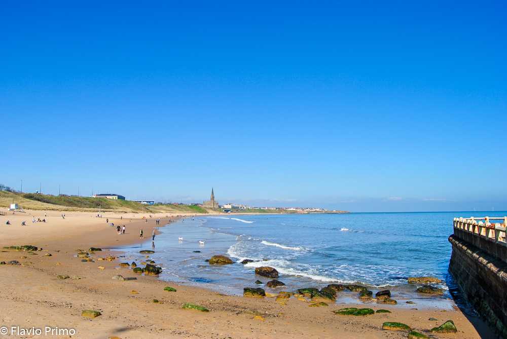 photo in the gallery