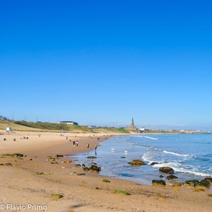 big size photo in the gallery