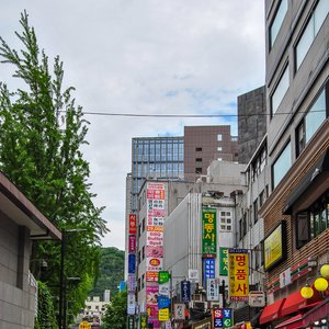 big size photo in the gallery