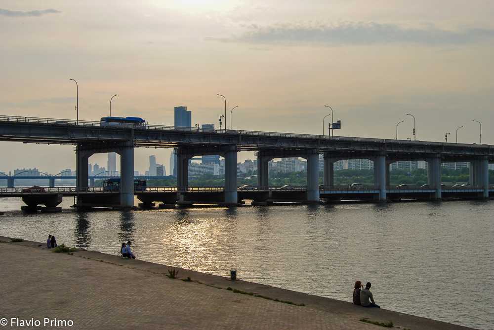 photo in the gallery