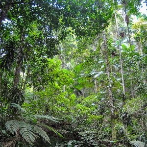 big size photo in the gallery