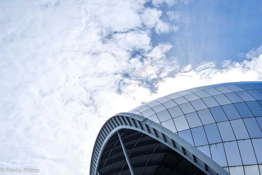 photo in the gallery