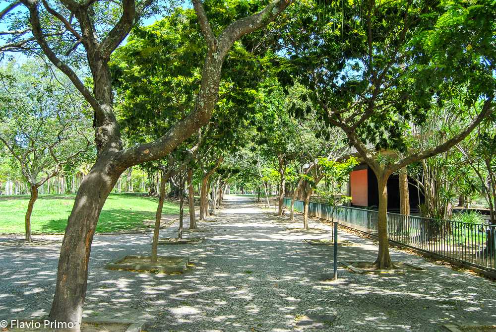 photo in the gallery